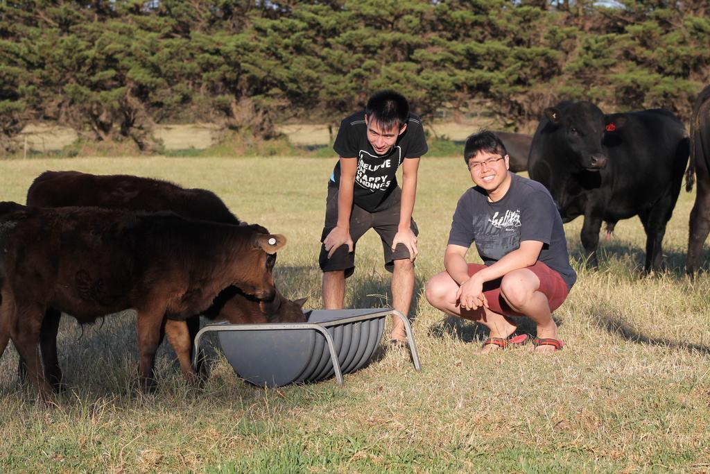 Bimbadeen Phillip Island Farm Retreats Ventnor ภายนอก รูปภาพ