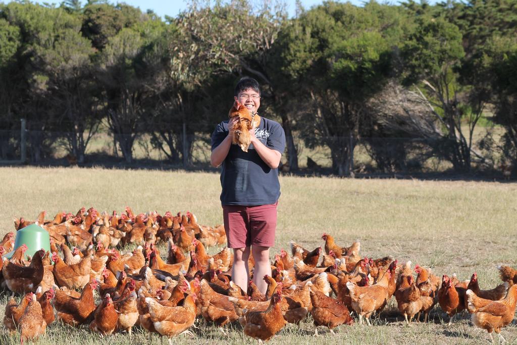 Bimbadeen Phillip Island Farm Retreats Ventnor ภายนอก รูปภาพ